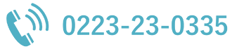 0223-23-0335